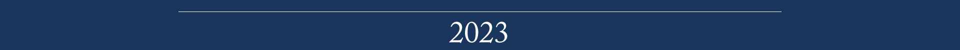 Template Ergebnisse Ponickau 2023