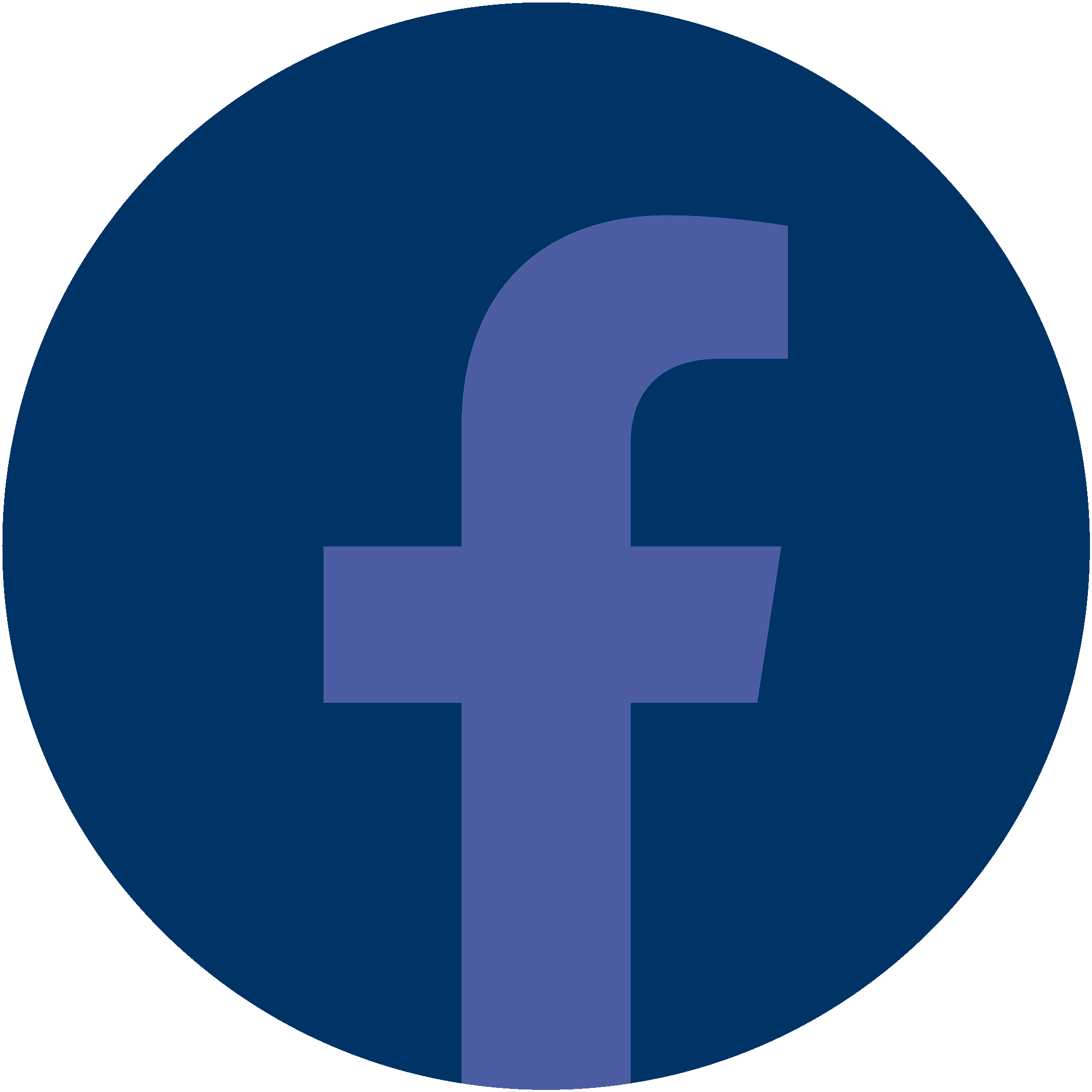 ICON FB 4b5ca3