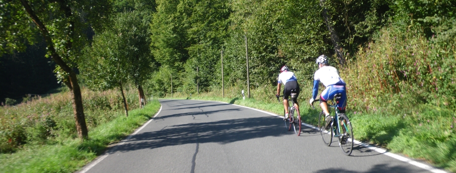 2015 heidenau